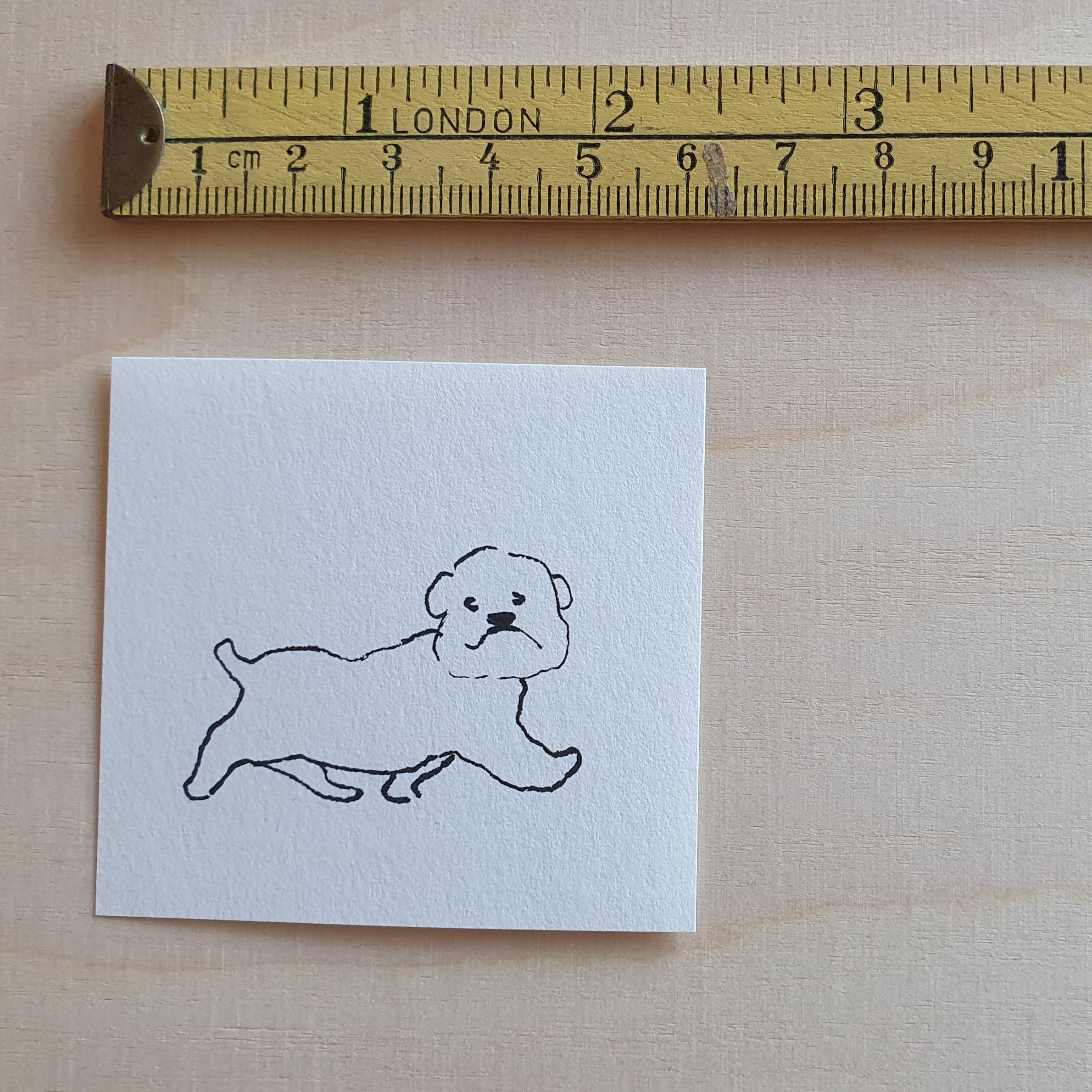 Bichon Frisé (Original)