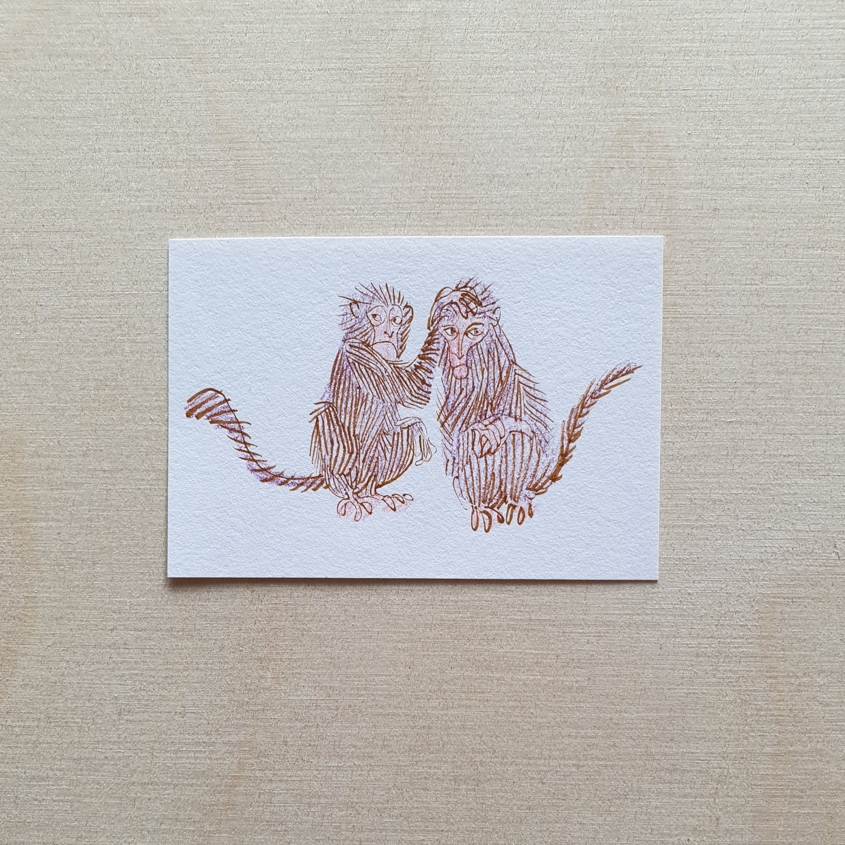 Sisters and Outlaws (Original)