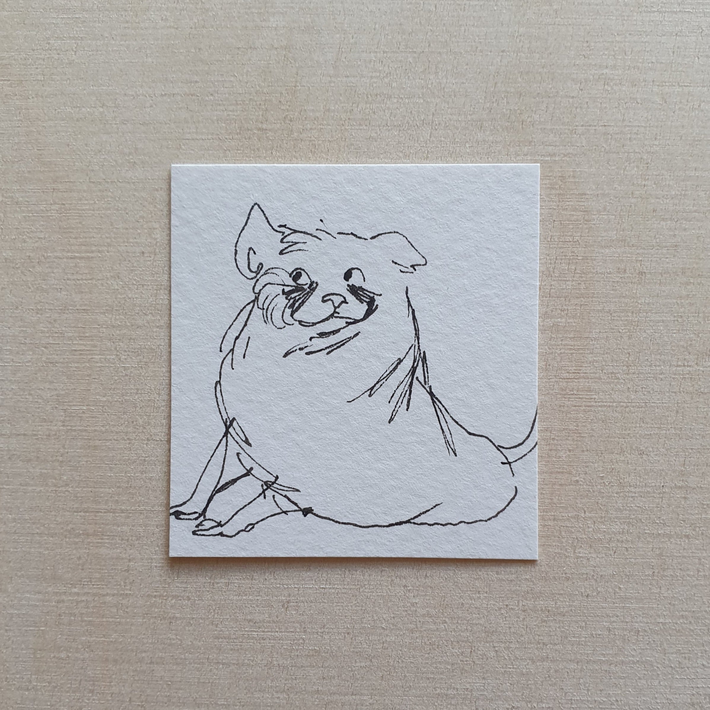 Scratches? (Original)