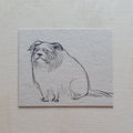 Old Howly (Original)