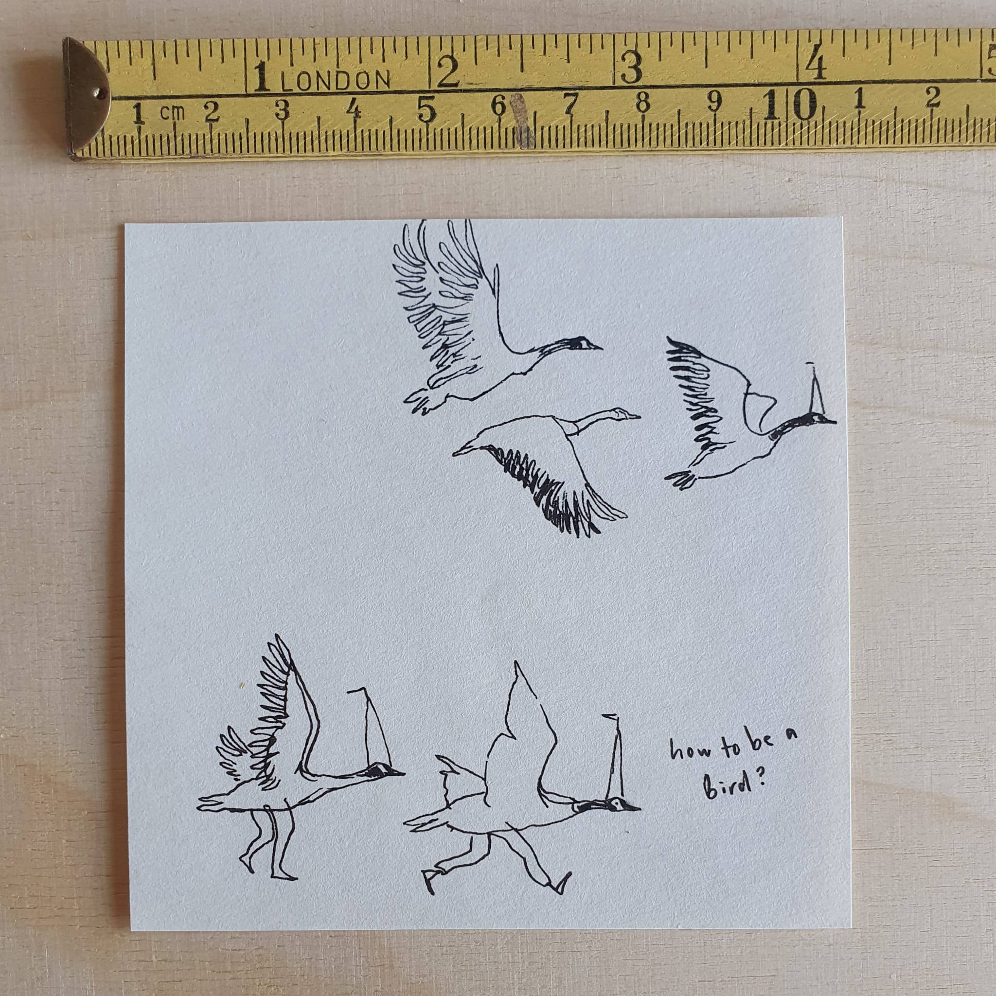 How to Be a Bird? (Original)