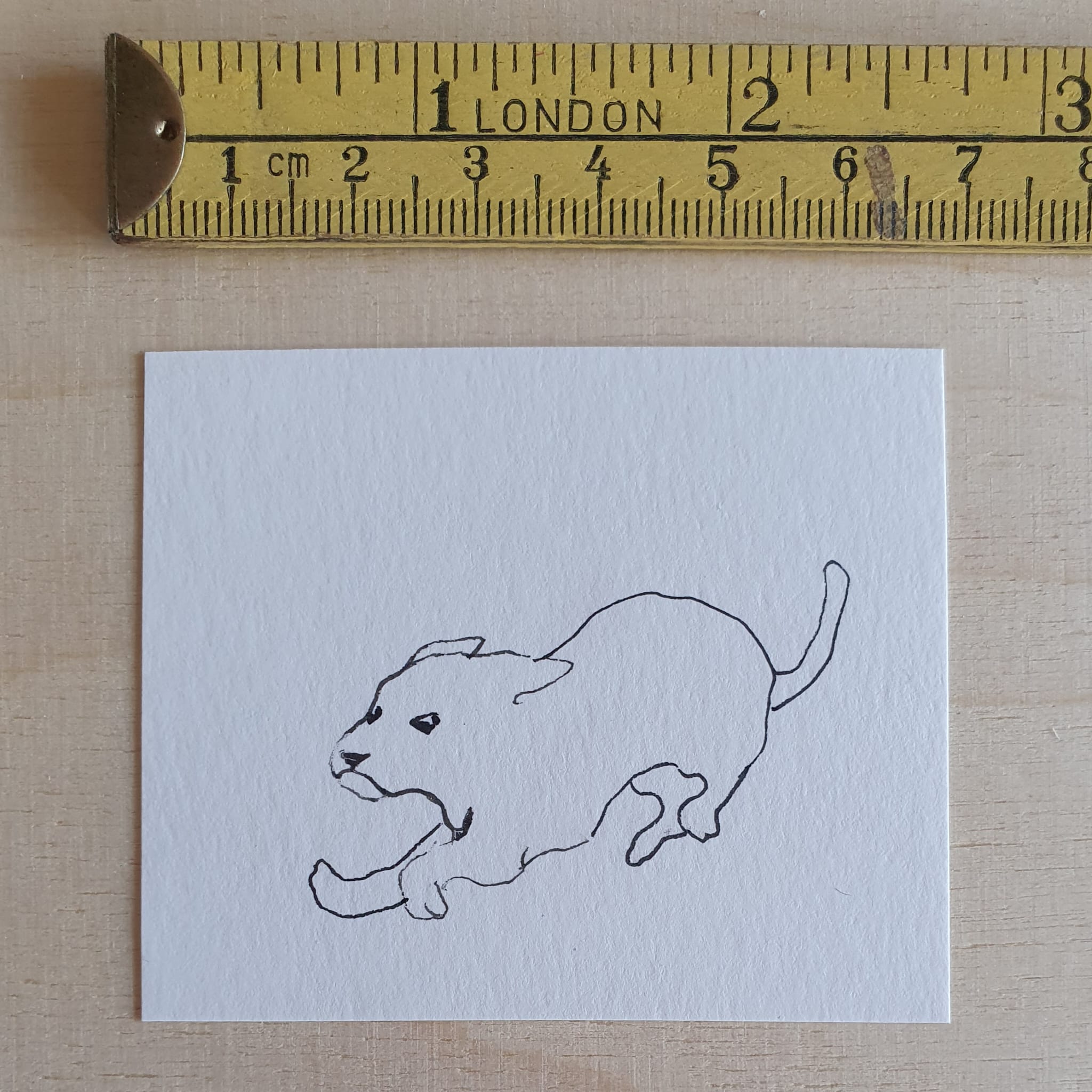 Bouncy Puppy I Saw Yesterday (Original)